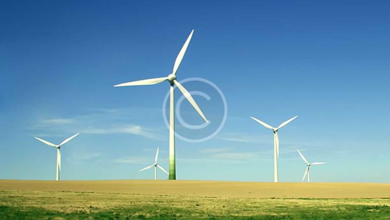 Sponsor Ecology Today